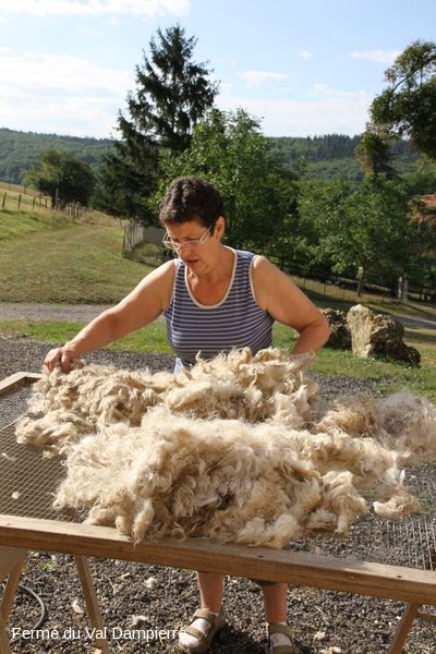 Ferme du Val Dampierre : tri de la laine