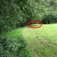 Rive droite du Cousin, entre la quatrième et la cinquième table de la grande aire à pique-niques.