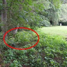 Rive droite du cousin, juste après la troisième table à pique-nique