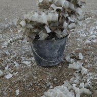 Les volontaires avaient ramassé un sac d'1m3 de plastiques. Cela allait relativement vite, puisque les morceaux délités étaient de grande taille. Suite à cette première « part du colibri » des Cousin•es, la Mairie avait réagit en faisant retirer, la semaine suivante, une partie des plaques alvéolaires, laissant celles des emplacements... ainsi que tous les petits bouts de plastiques, impossibles à ramasser à la machine. Moins voyants, ces derniers n'en sont pas moins néfastes pour l'environnement.