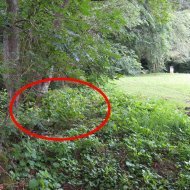 Rive droite du cousin, juste après la troisième table à pique-nique