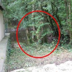 Moulin des Ruats